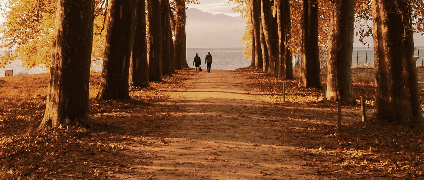 Pathway lined with autumn trees leading to a lake with two people walking